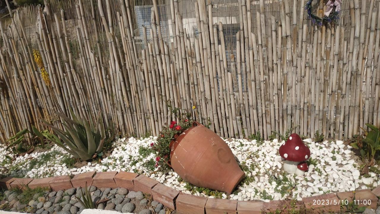 Meltemi Apartments Agia Marina  Luaran gambar