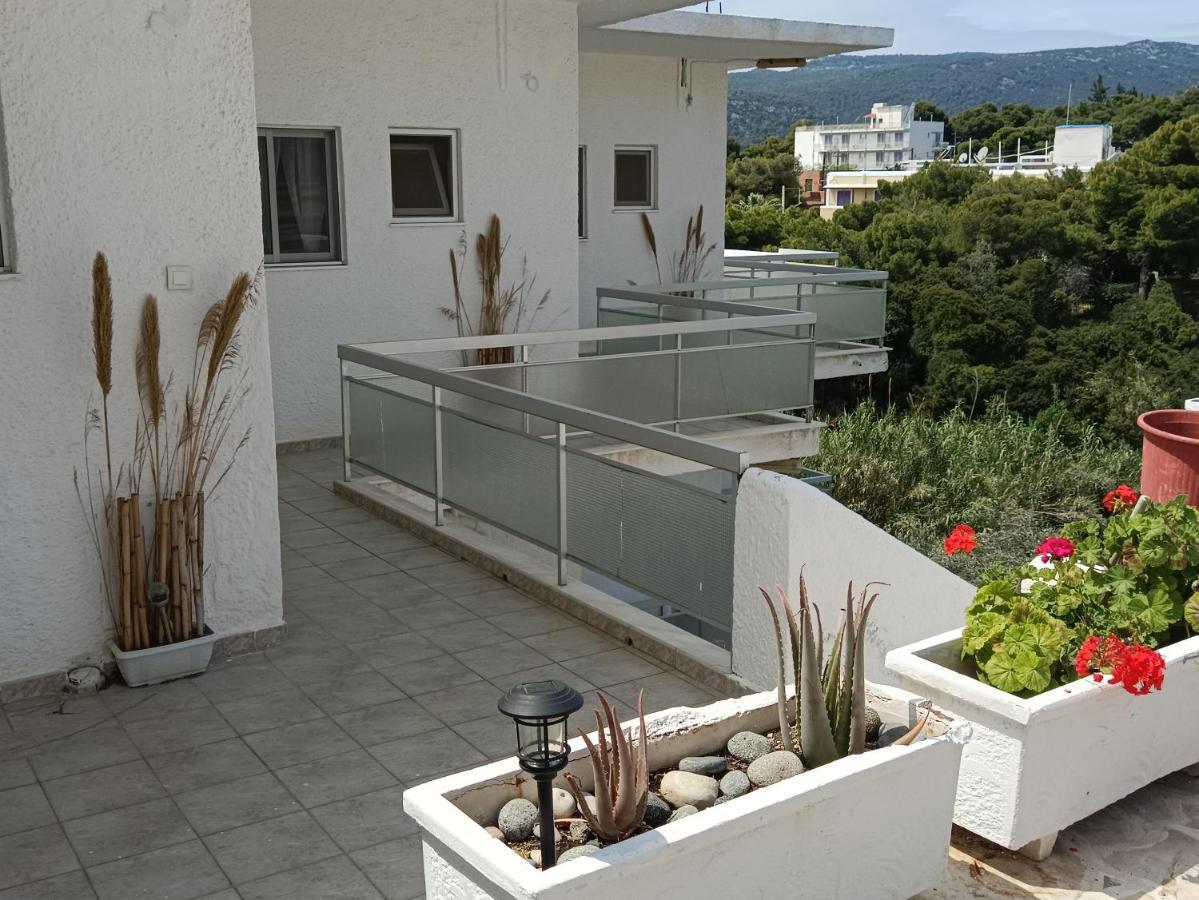 Meltemi Apartments Agia Marina  Luaran gambar